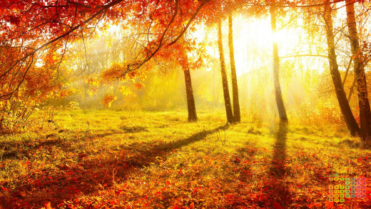 1294824 (a): :2880x1620